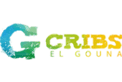 g cribs20022024165747